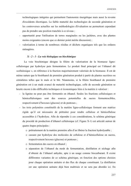 Etude d'un procédé de gazéification de biomasse en ambiance ...