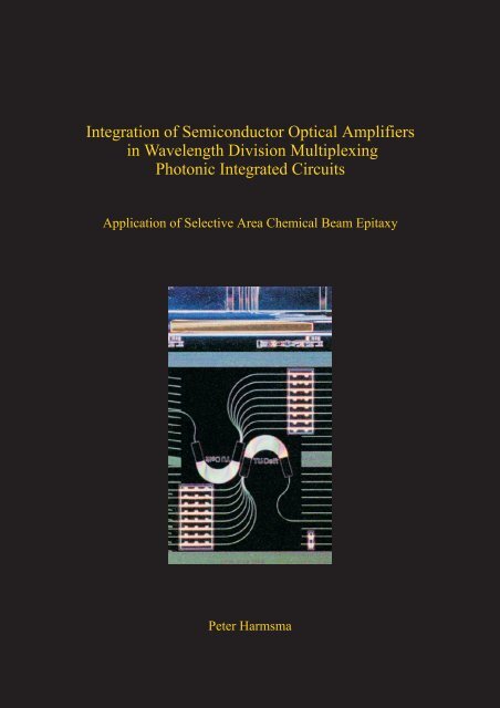 Integration of Semiconductor Optical Amplifiers in Wavelength ...