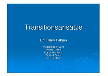 Transitionsansätze