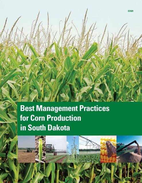 Best Management Practices for Corn Production in South Dakota