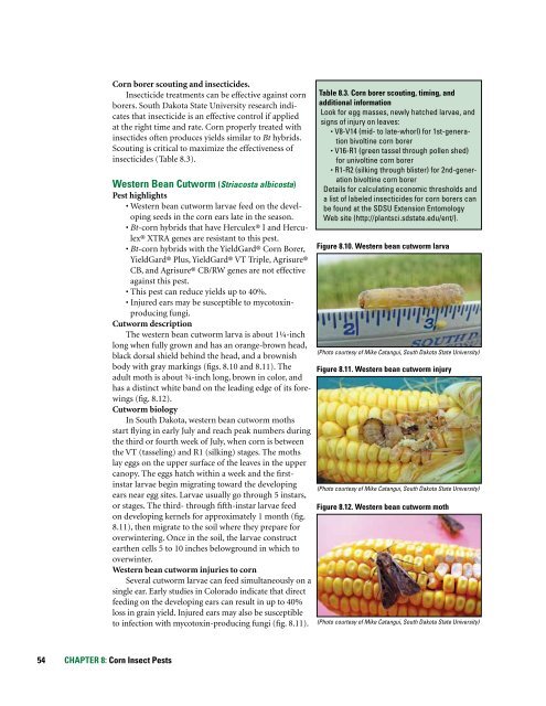 Best Management Practices for Corn Production in South Dakota