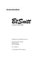 Brukerveiledning for BTSNITT - Consolis