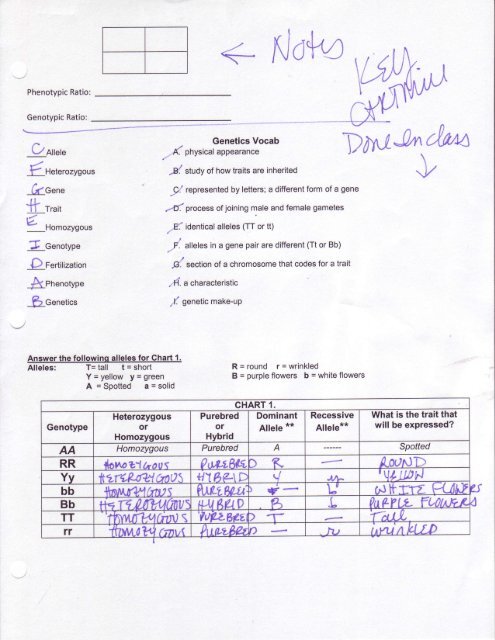 Bestseller: Chapter 10 Dihybrid Cross Worksheet Answer Key Pdf