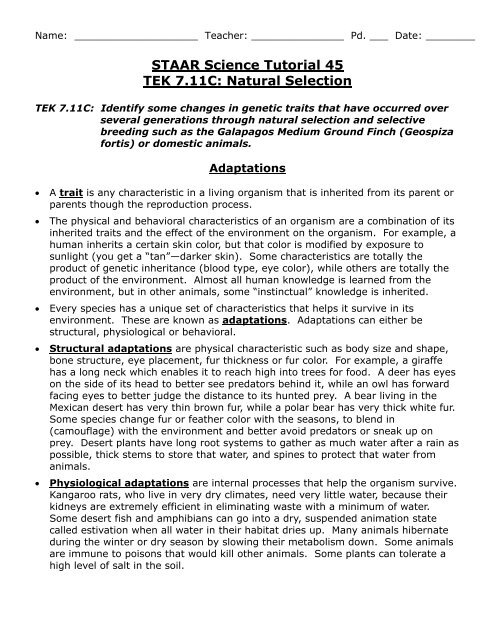 STAAR Science Tutorial 45 TEK 7.11C: Natural Selection