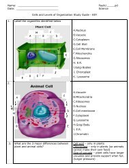 Paulk/_____pd Date: Science Cells and Levels of Organization Stud