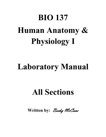 BIO 137 Human Anatomy & Physiology I Laboratory Manual All ...