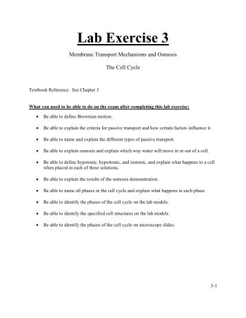 Lab Exercise 3