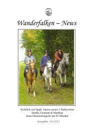 Wanderfalken – News - Rv-wanderfalke.de