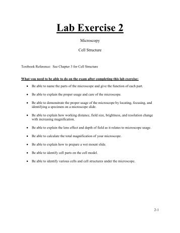 Lab Exercise 2