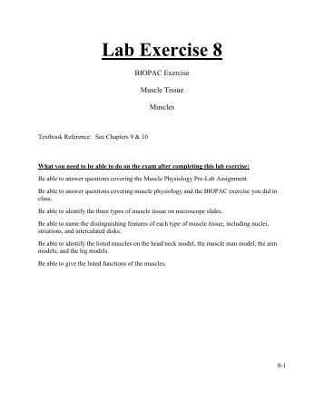 Lab Exercise 8