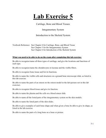 Lab Exercise 5