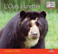 L'ours à lunettes en images…