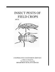 MP-28 Insect Pests of Field Crops - UW Extension