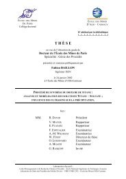 Rapport de Thèse