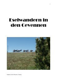 Eselwandern in den Cevennen