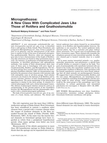 Micrognathozoa - Ecology & Evolutionary Biology