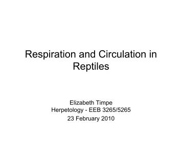 Respiration and Circulation in Reptiles