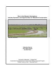 Rice in the Western Hemisphere - Ecology & Evolutionary Biology ...
