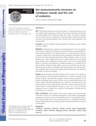 Bat metacommunity structure on Caribbean islands and the role