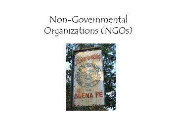 Non-Governmental Organizations (NGOs)