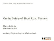 On the Safety of Short Road Tunnels