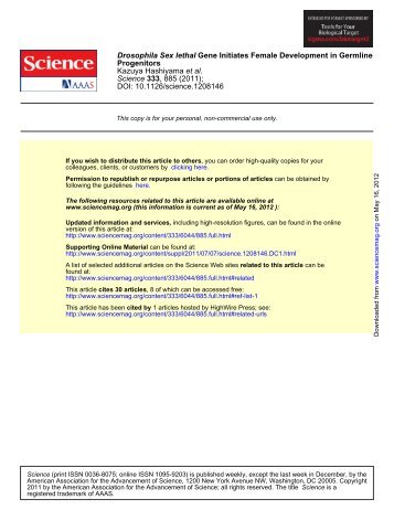 Sex lethal gene initiates female development in germline progenitors