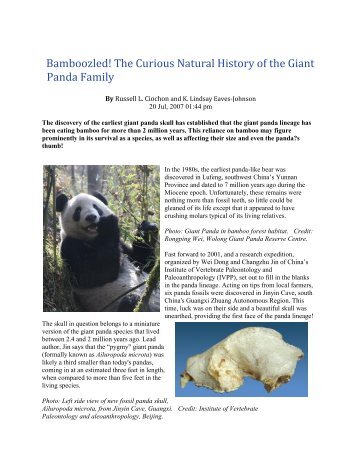 Bamboozled! The Curious Natural History of the Giant Panda Family