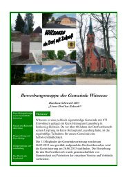 Witzeeze/SH (PDF-Datei) - Unser Dorf hat Zukunft