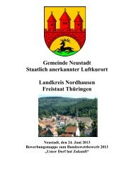 Neustadt-Harz/TH (PDF-Datei) - Unser Dorf hat Zukunft