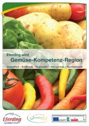 Gemüse-Kompetenz-Region - Lernende Regionen - in Österreich