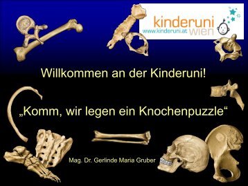 Willkommen an der Kinderuni! „Komm, wir legen ein Knochenpuzzle“