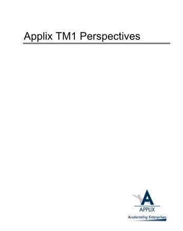 Applix TM1 Perspectives