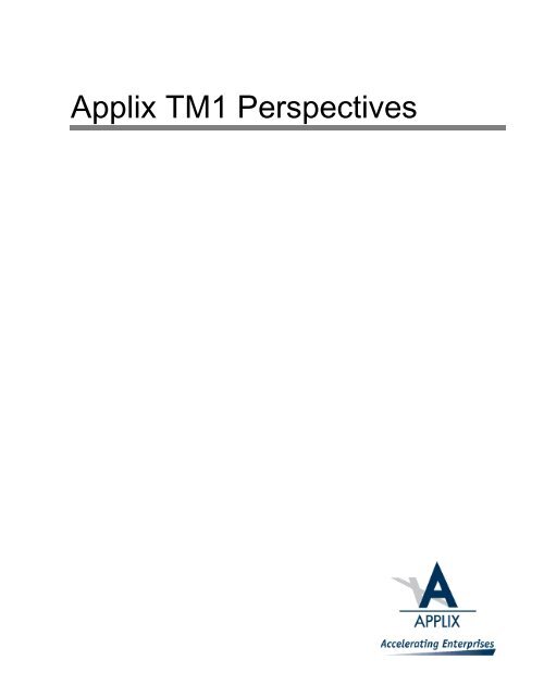 Applix TM1 Perspectives