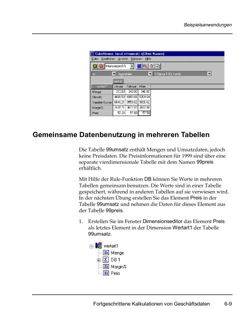 Applix TM1 Perspectives