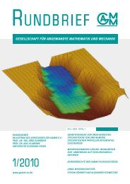 GAMM Rundbrief 2010/Heft 1