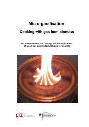 Micro-gasification: Cooking with gas from biomass - Amper
