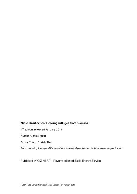 Micro-gasification: Cooking with gas from biomass - Amper