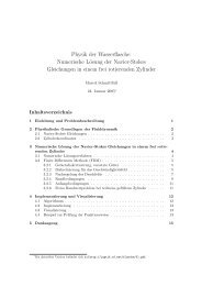 Physik der Wasserflasche: Numerische Lösung der Navier ... - JavaPsi