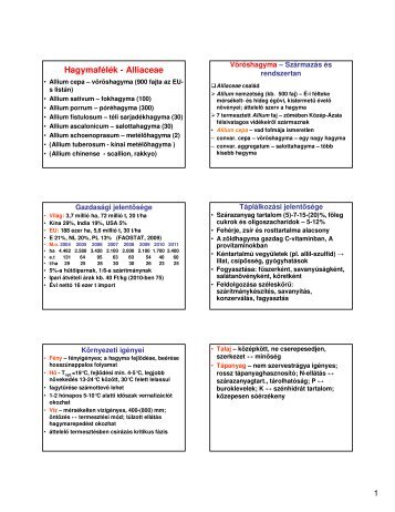 Hagymafélék - Alliaceae - kert.szie.hu