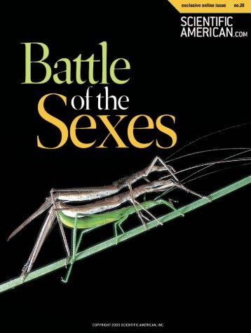 Battle of the Sexes