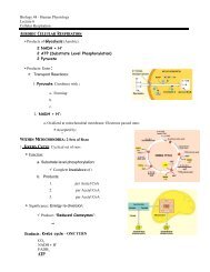 Biology 48 - Human Physiology Lecture 6 Cellular Respiration ...