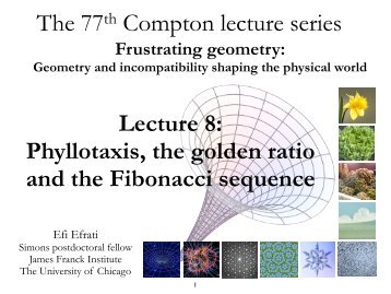 Phyllotaxis, the golden ratio and the Fibonacci sequence