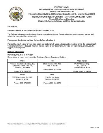 INSTRUCTION SHEET FOR WSD-1.387-388 COMPLAINT FORM