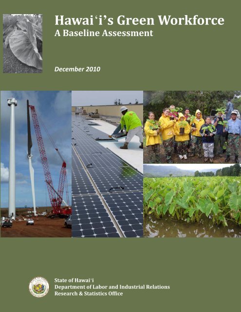 Hawai i's Green Workforce A Baseline Assessment December 2010