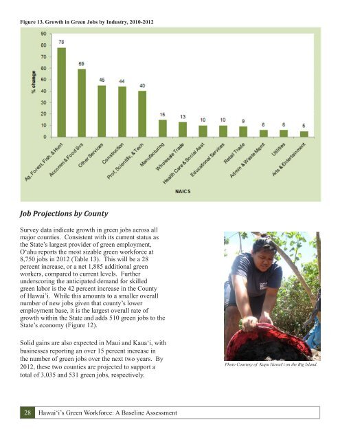 Hawai i's Green Workforce A Baseline Assessment December 2010