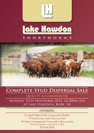 Sale Catalogue - Livestock - Landmark