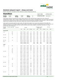 Hamilton Sheep market report - Livestock