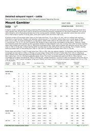 Mount Gambier Sheep market report - Livestock