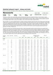 Naracoorte Sheep market report - Livestock