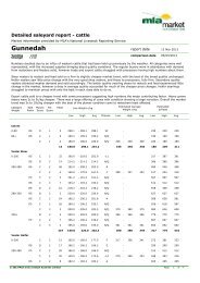 Gunnedah Cattle market report (PDF 33 Kb) - Livestock